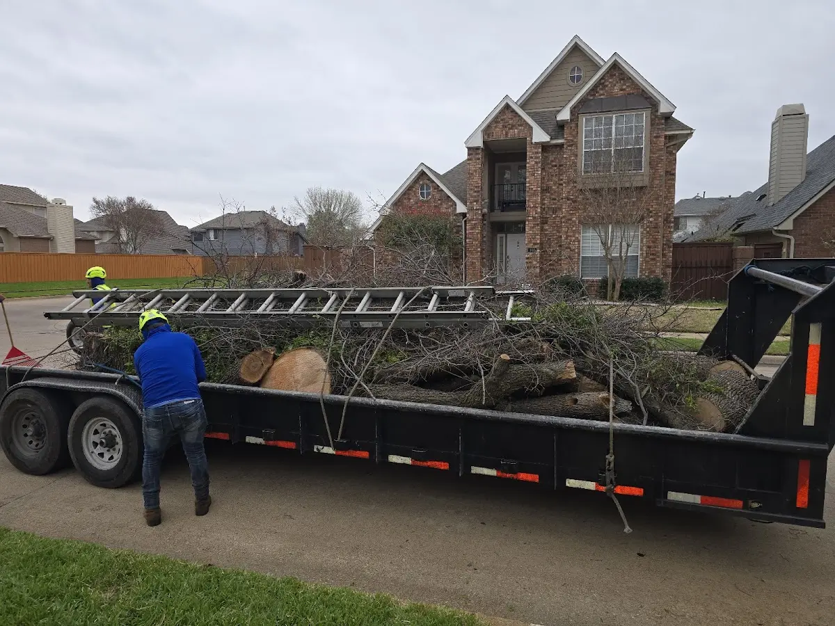 Expert Tree Fertilization with proper safety equipment in South Cle Elum